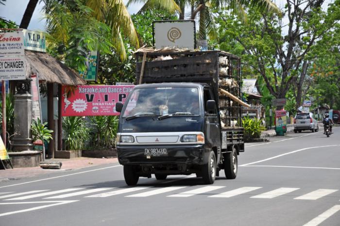 foto k příspěvku  od camron