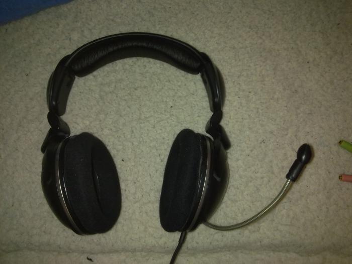 foto k příspěvku  od empi