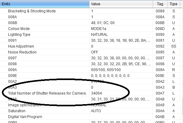 foto k příspěvku  od Bucci