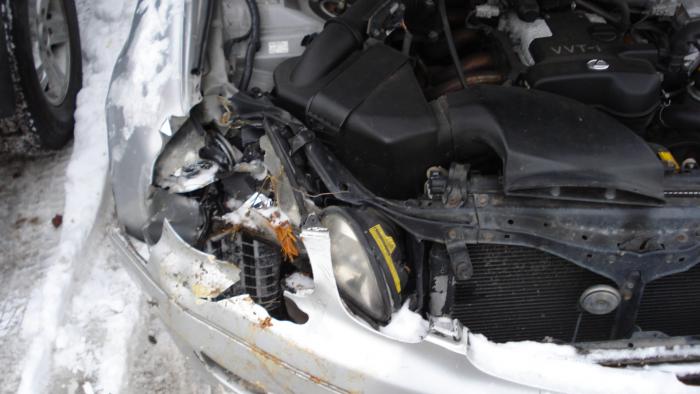 foto k příspěvku  od M.Á.R.A.