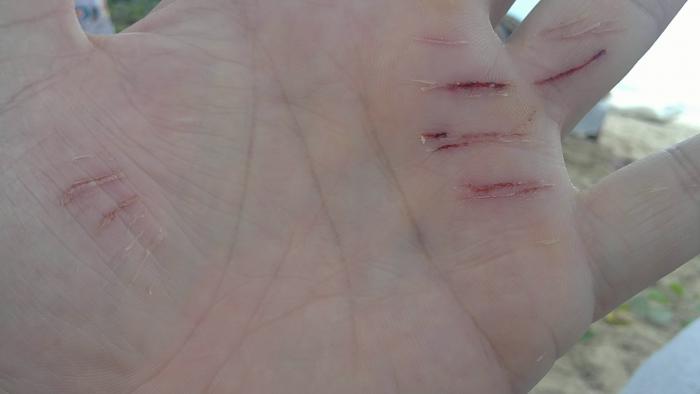 foto k příspěvku  od Kleneex