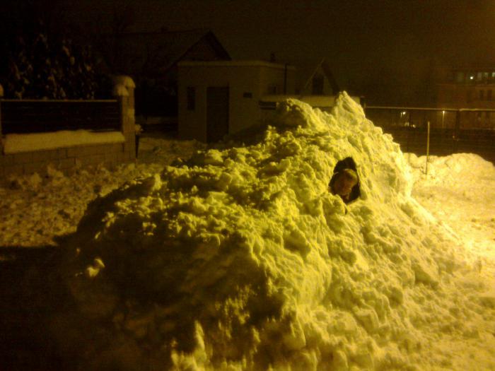 foto k příspěvku  od JP