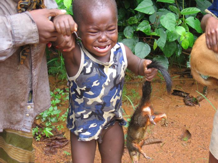 foto k příspěvku  od CervinVega