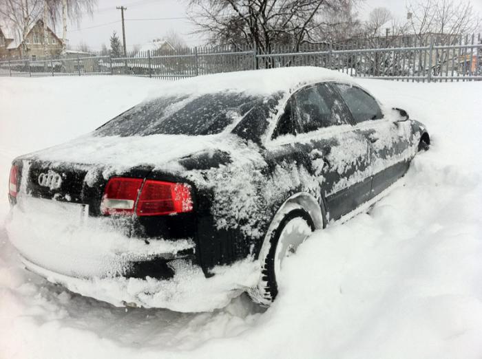 foto k příspěvku  od haskyvr6