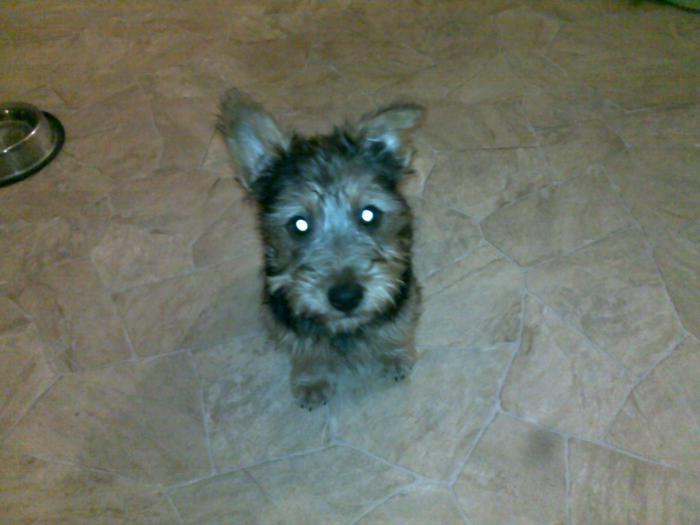 foto k příspěvku  od Only_One