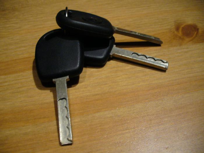 foto k příspěvku  od fredy