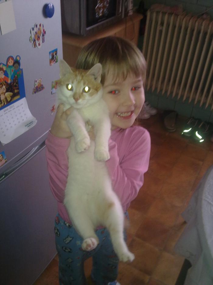 foto k příspěvku  od Midnite