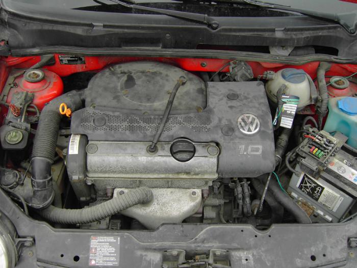 foto k příspěvku  od Nevřis