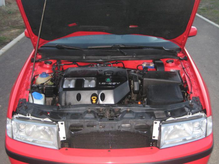 foto k příspěvku  od BadyS