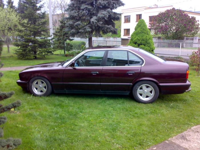 foto k příspěvku  od webster5