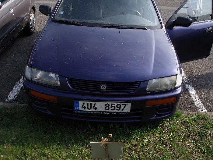 foto k příspěvku  od luda551