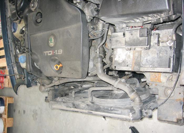 foto k příspěvku  od camron