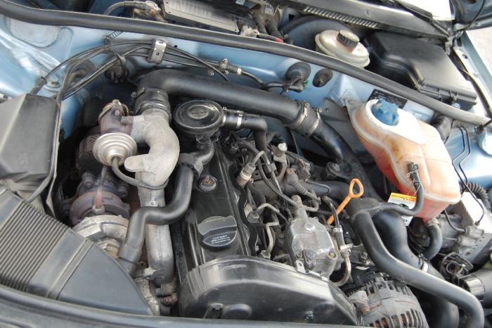 foto k příspěvku  od Spoiltak