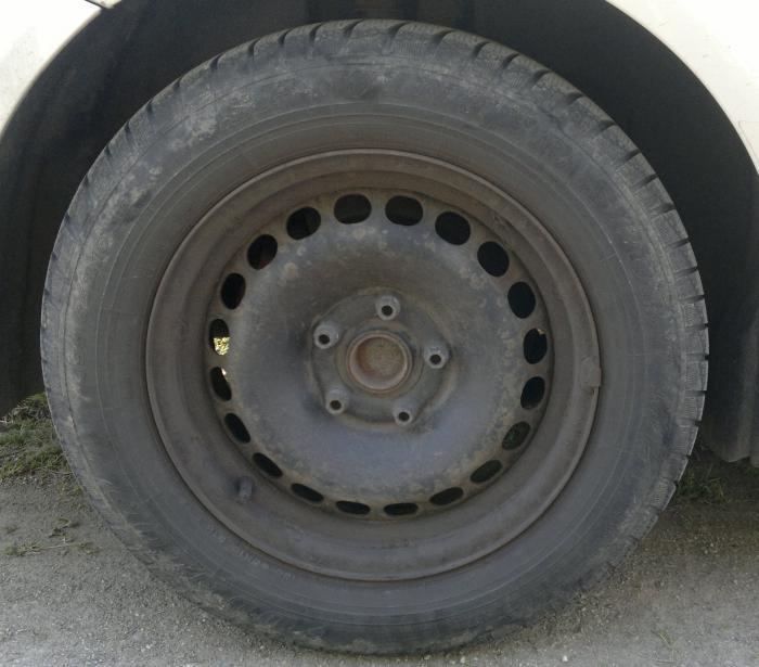 foto k příspěvku  od Mlask