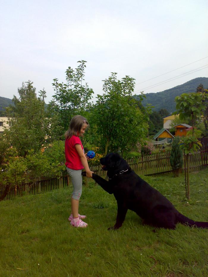 foto k příspěvku  od P3RF3KT