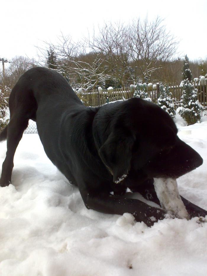 foto k příspěvku  od P3RF3KT