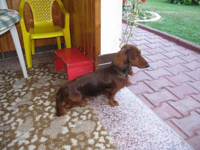 foto k příspěvku  od kordobacek