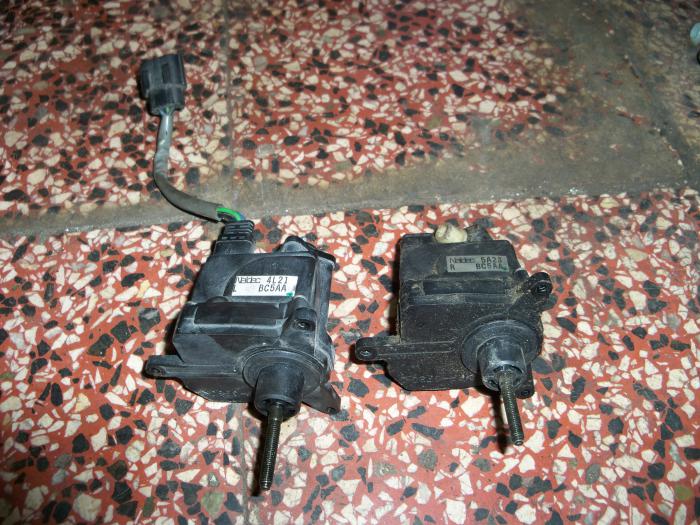 foto k příspěvku  od Lichka