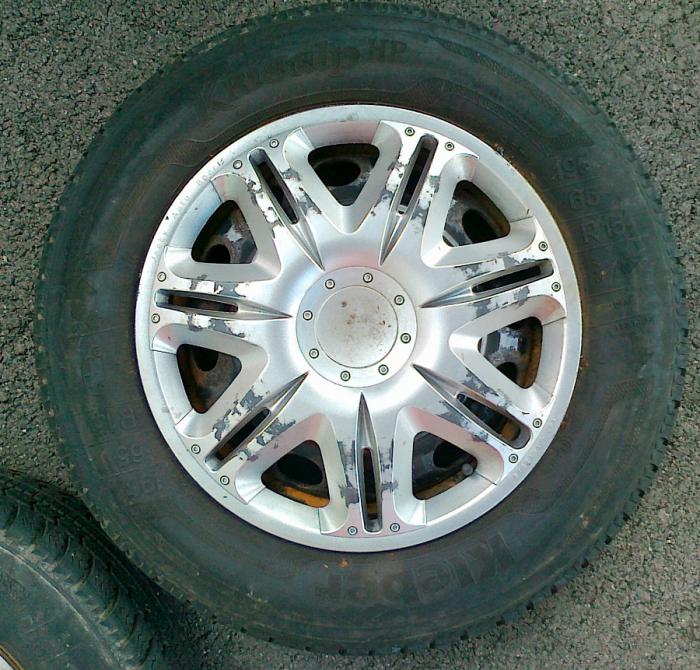 foto k příspěvku  od camron