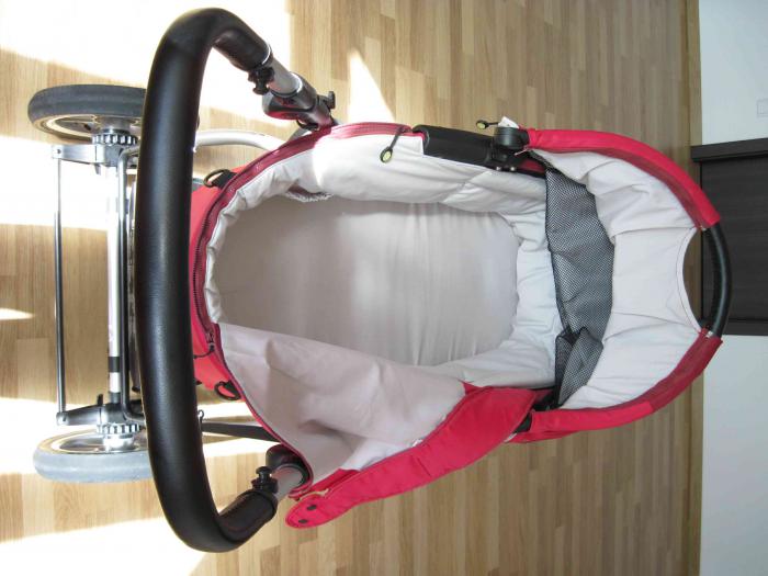 foto k příspěvku  od MazliG