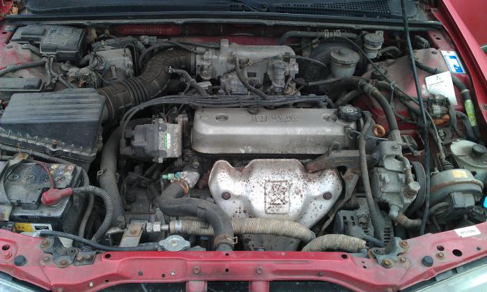 foto k příspěvku  od trigi