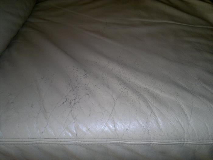 foto k příspěvku  od Barthez