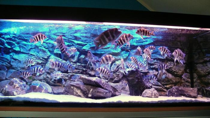 foto k příspěvku  od kamil306