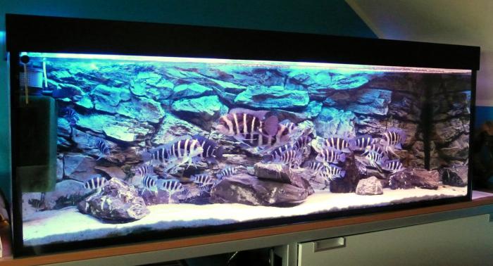 foto k příspěvku  od kamil306