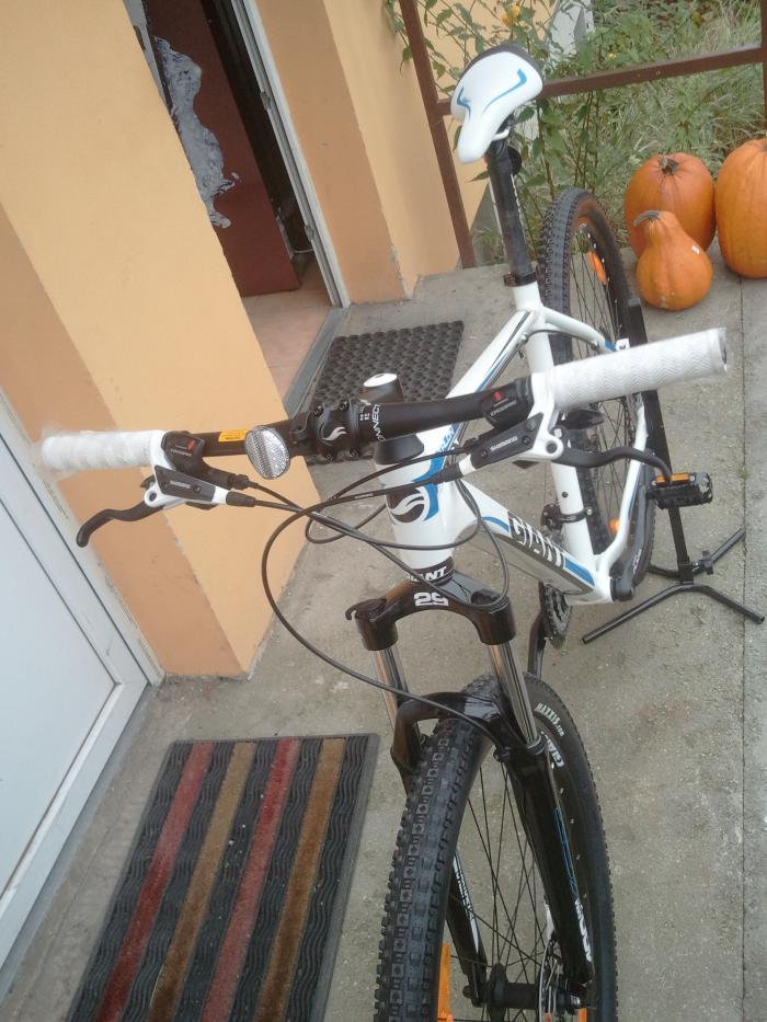 foto k příspěvku  od Zbyna