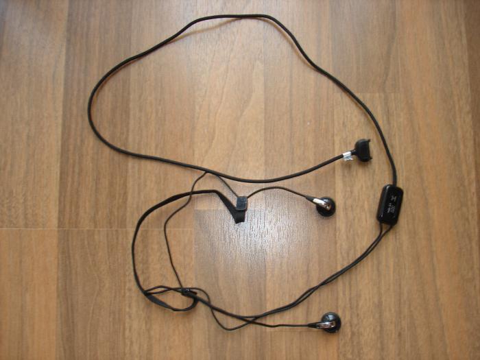 foto k příspěvku  od Newman