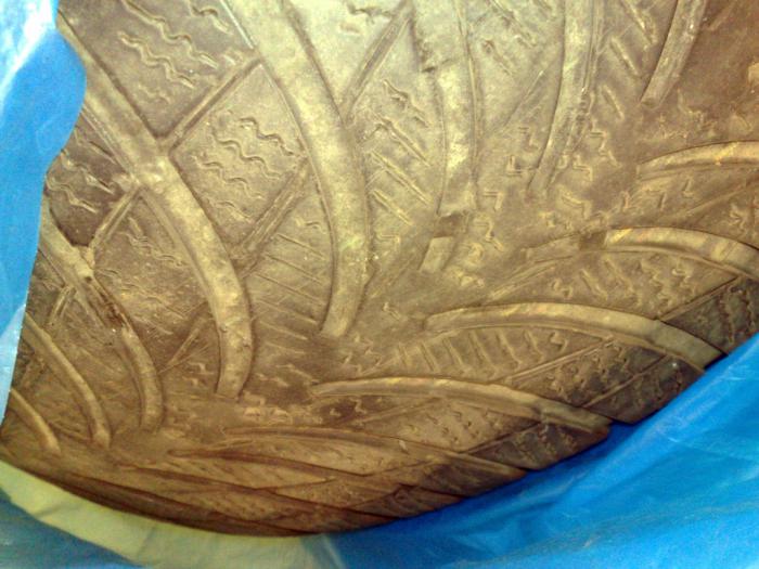 foto k příspěvku  od acidofil