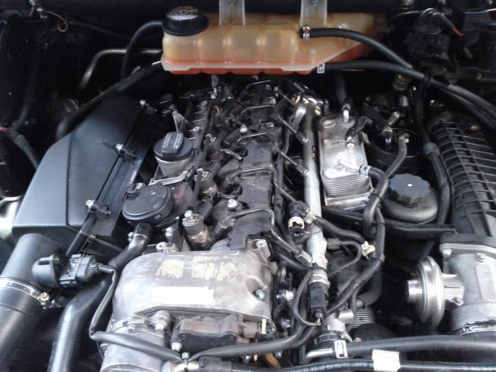 foto k příspěvku  od klasek