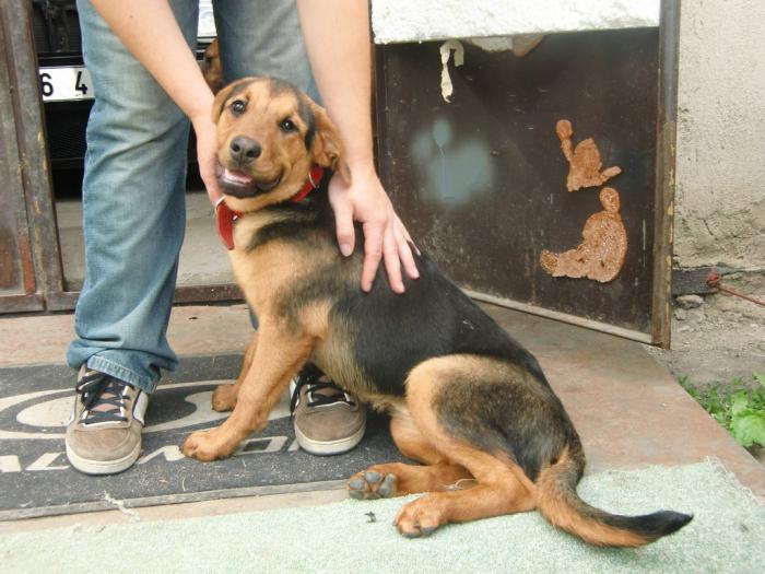 foto k příspěvku  od trueno