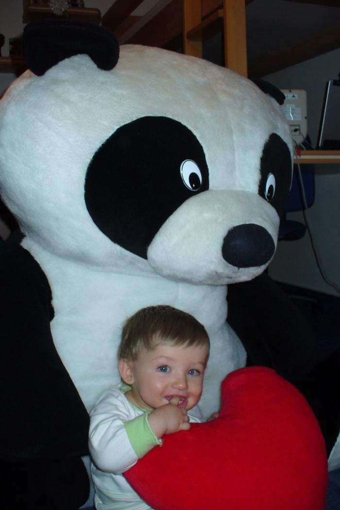 foto k příspěvku  od Kotass