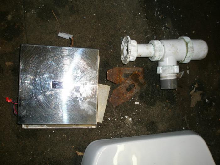 foto k příspěvku  od lišky