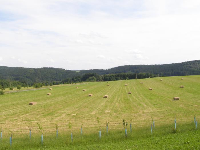 foto k příspěvku  od Freerider
