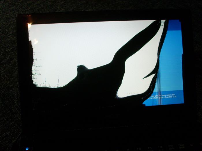 foto k příspěvku  od air-art