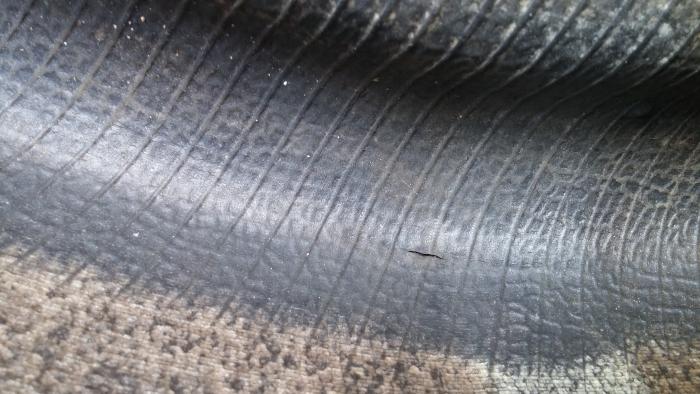foto k příspěvku  od worm03