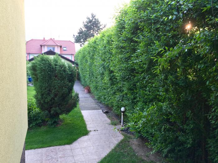 foto k příspěvku  od JA