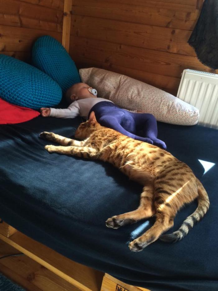 foto k příspěvku  od RudyV