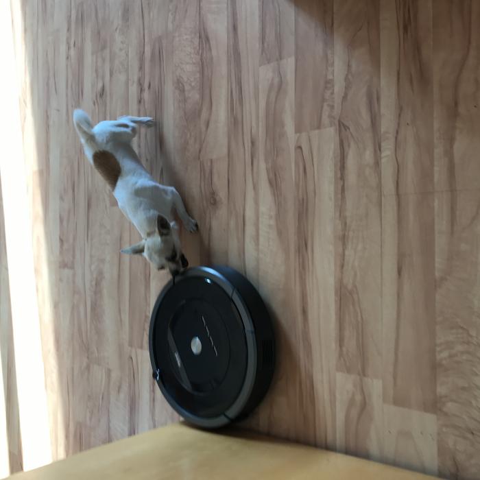 foto k příspěvku  od rover (WoodTech)