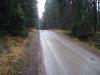 waldviertel rally