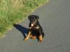 hafina