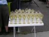 Hradec Králové 2006