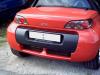 Smart Roadster